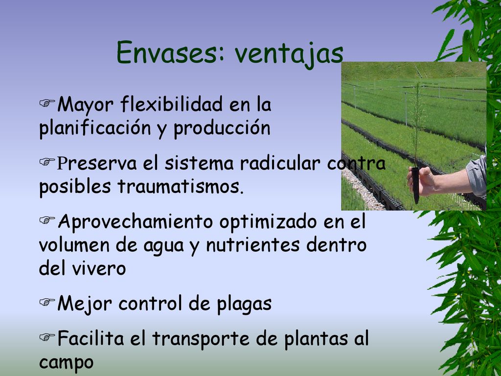 Envases: ventajas Mayor flexibilidad en la planificación y producción