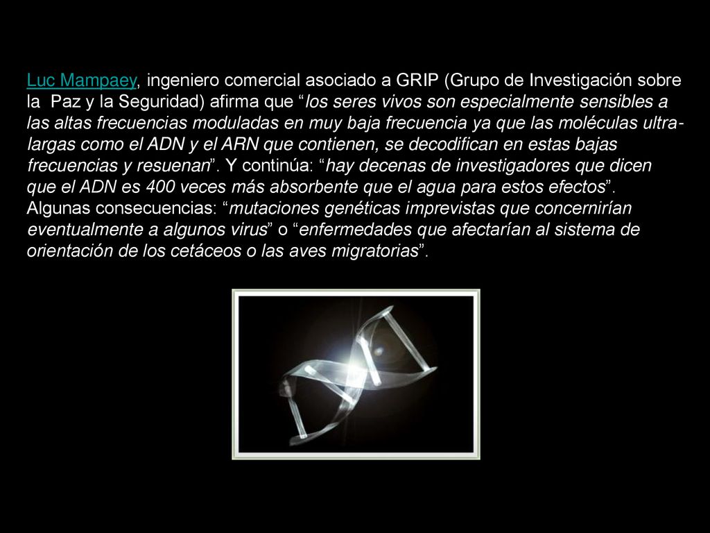 Luc Mampaey, ingeniero comercial asociado a GRIP (Grupo de Investigación sobre la Paz y la Seguridad) afirma que los seres vivos son especialmente sensibles a las altas frecuencias moduladas en muy baja frecuencia ya que las moléculas ultra-largas como el ADN y el ARN que contienen, se decodifican en estas bajas frecuencias y resuenan .