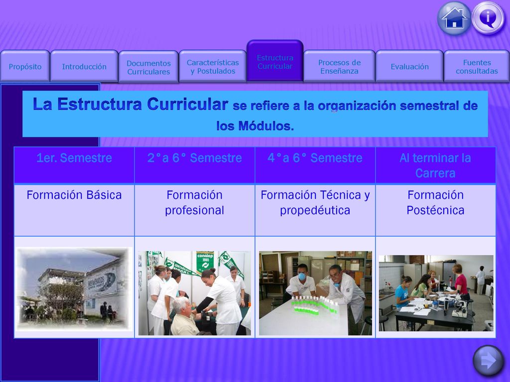 Propósito Introducción. Procesos de Enseñanza. Fuentes. consultadas. Características y Postulados.