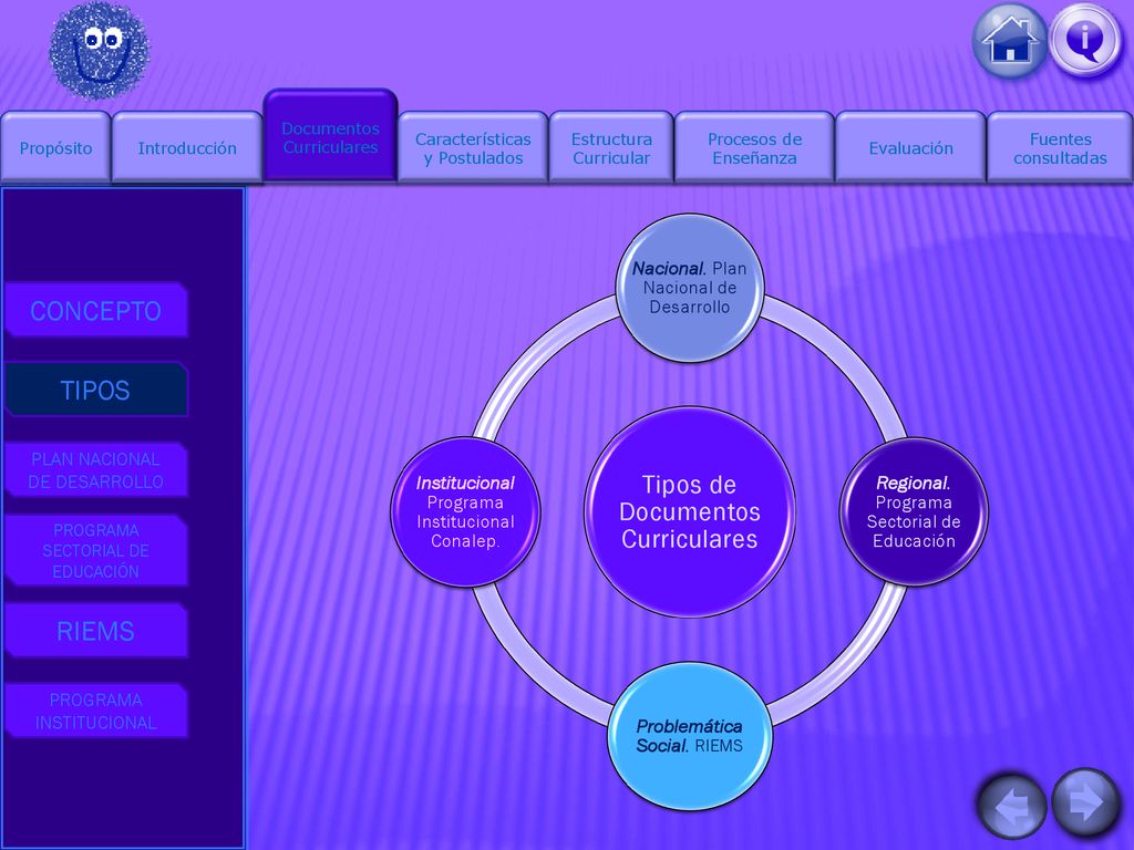 CONCEPTO TIPOS RIEMS Tipos de Documentos Curriculares