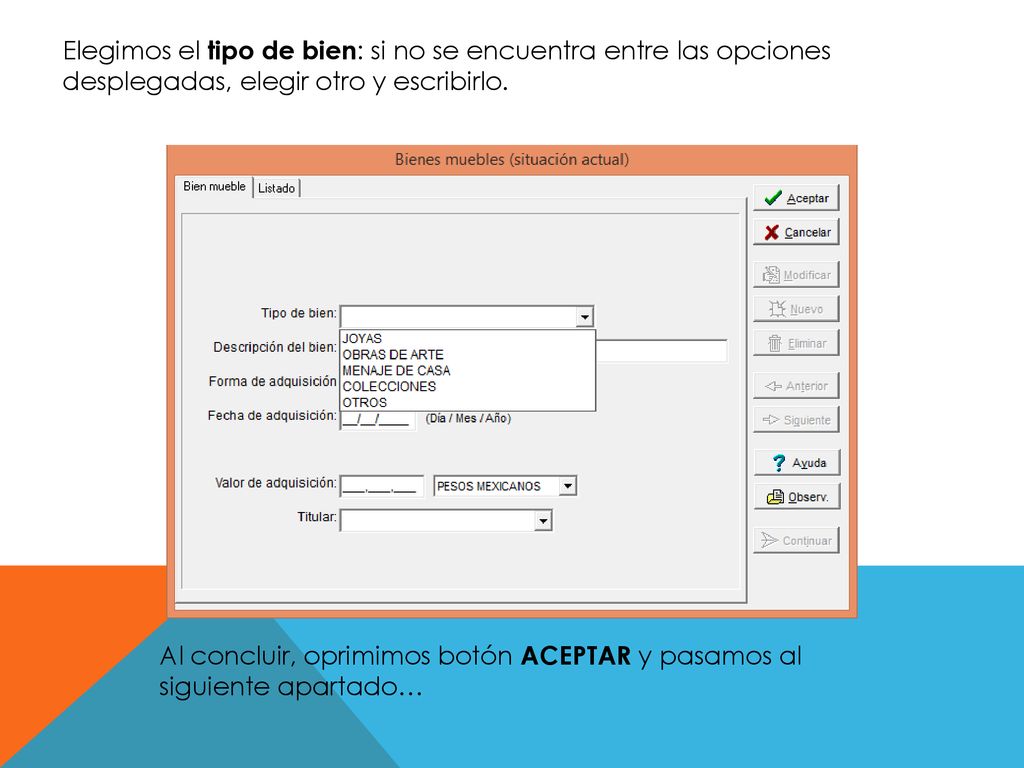 Elegimos el tipo de bien: si no se encuentra entre las opciones desplegadas, elegir otro y escribirlo.