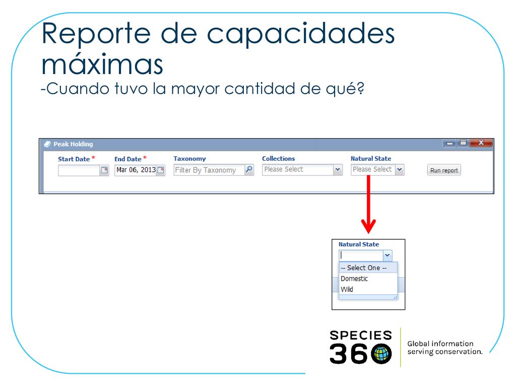 Reporte de capacidades máximas -Cuando tuvo la mayor cantidad de qué