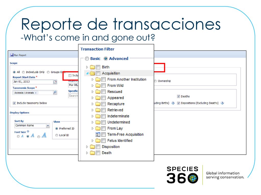 Reporte de transacciones -What’s come in and gone out