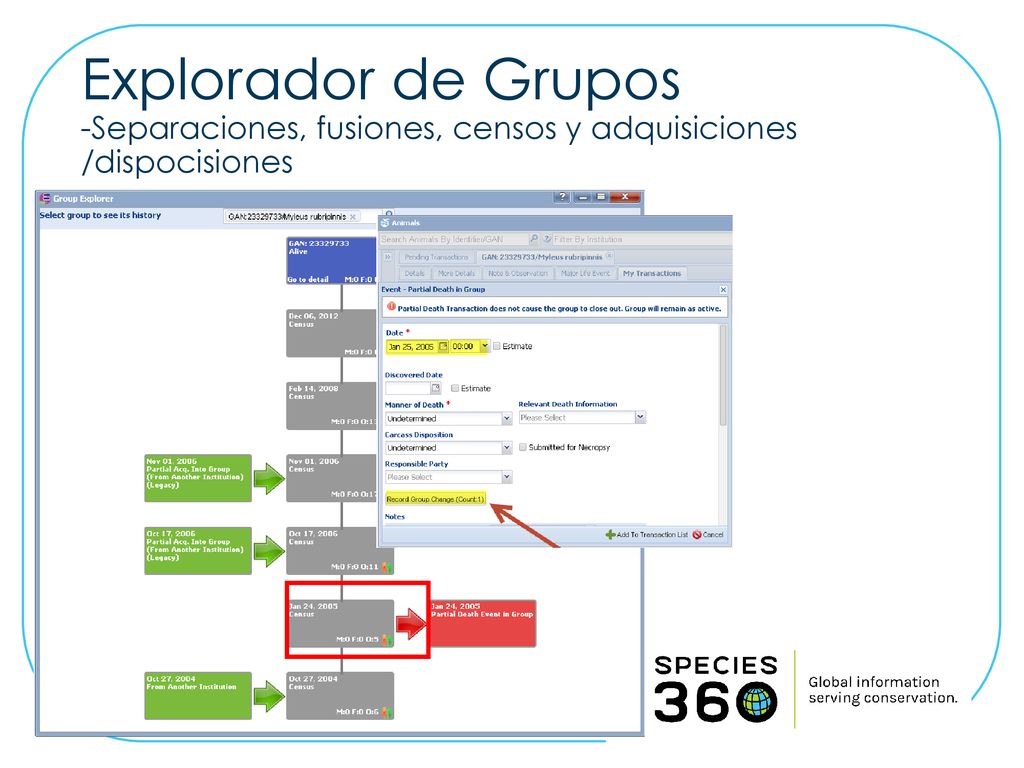 Explorador de Grupos -Separaciones, fusiones, censos y adquisiciones /dispocisiones