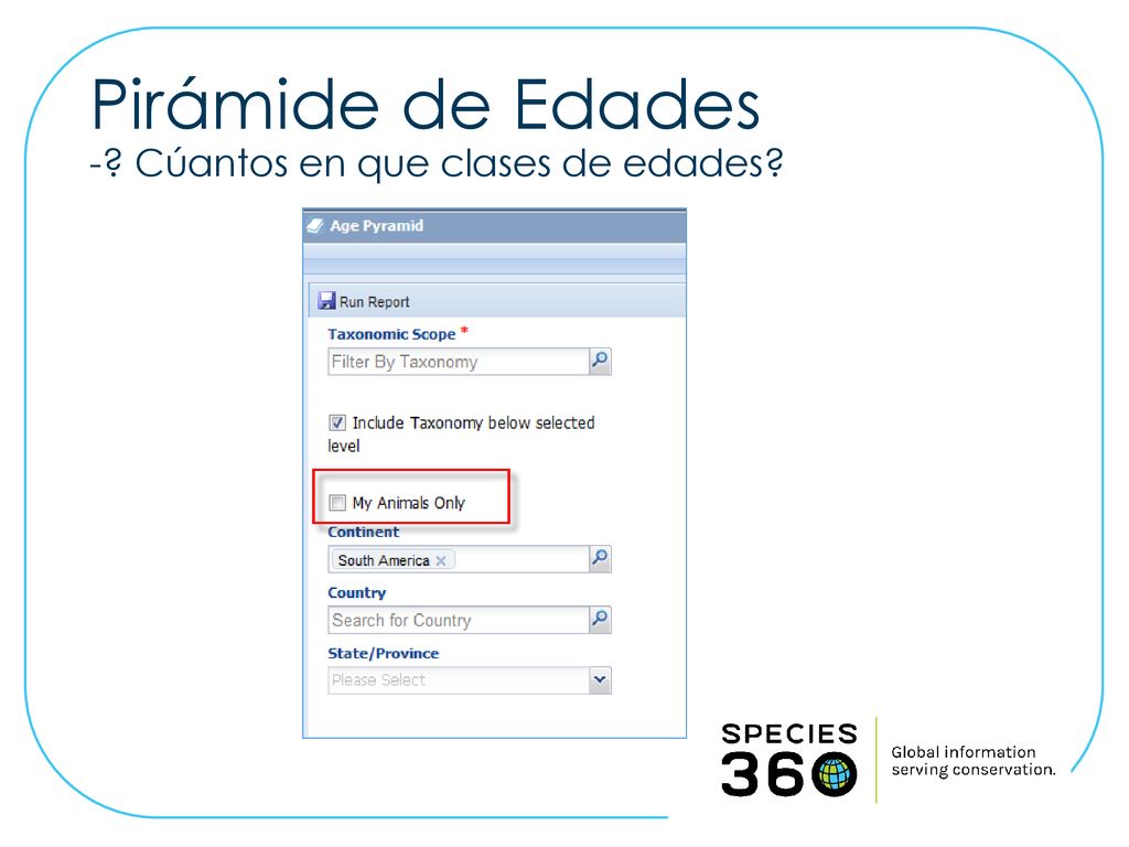 Pirámide de Edades - Cúantos en que clases de edades