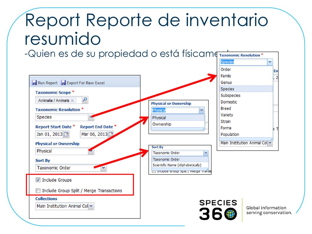 Report Reporte de inventario resumido -Quien es de su propiedad o está físicamente