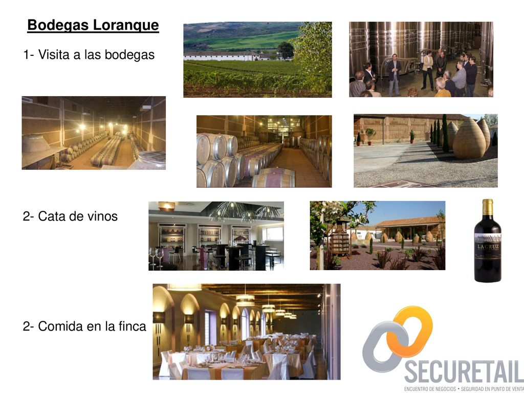 Bodegas Loranque 1- Visita a las bodegas 2- Cata de vinos