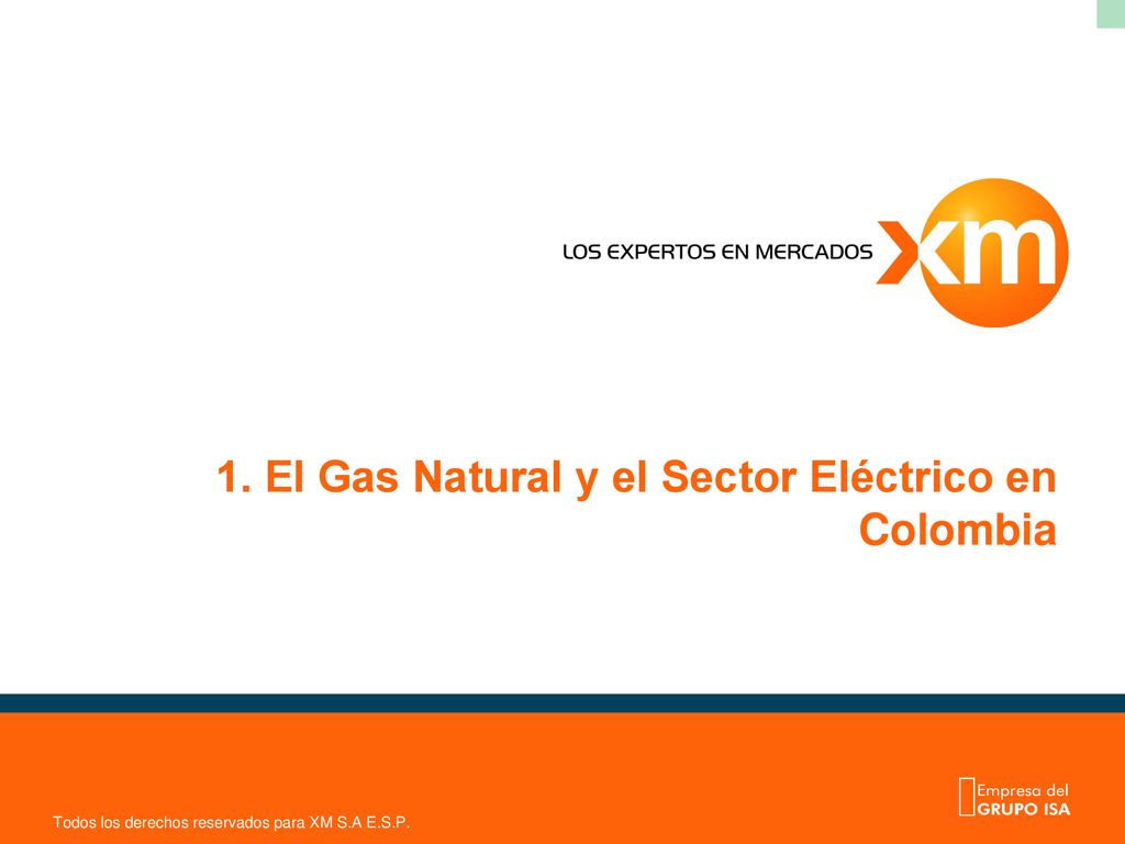 1. El Gas Natural y el Sector Eléctrico en Colombia