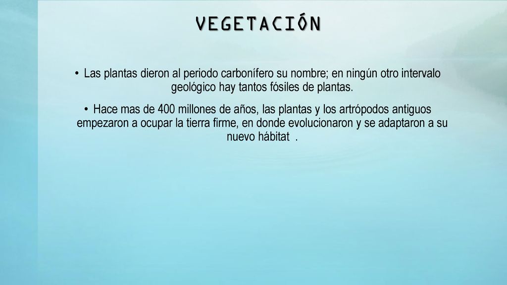 VEGETACIÓN Las plantas dieron al periodo carbonífero su nombre; en ningún otro intervalo geológico hay tantos fósiles de plantas.