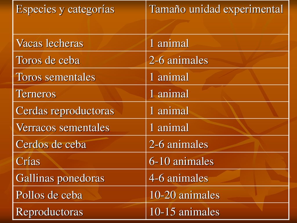Especies y categorías Tamaño unidad experimental. Vacas lecheras. 1 animal. Toros de ceba. 2-6 animales.