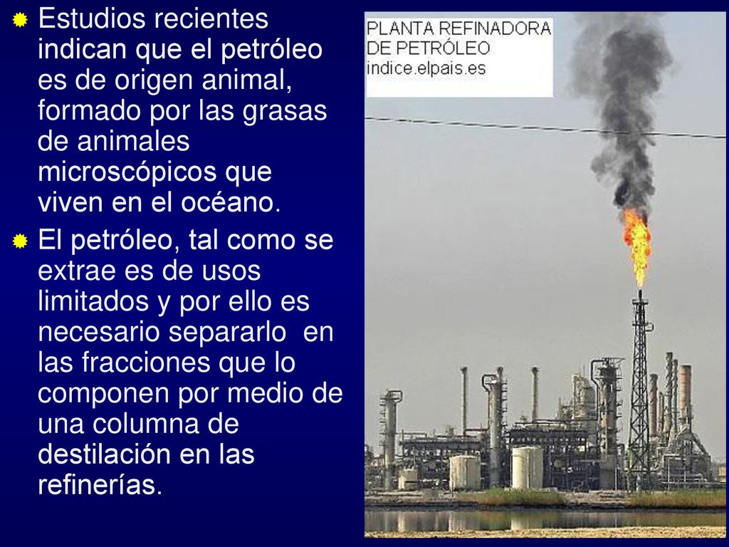 Estudios recientes indican que el petróleo es de origen animal, formado por las grasas de animales microscópicos que viven en el océano.