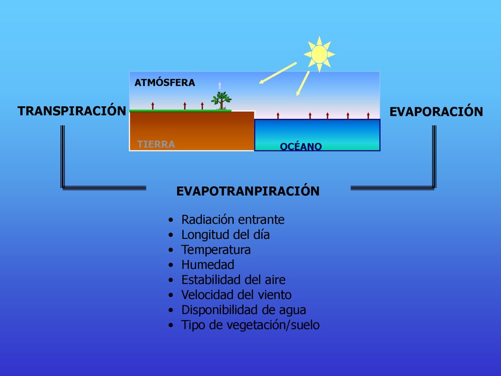 Disponibilidad de agua Tipo de vegetación/suelo
