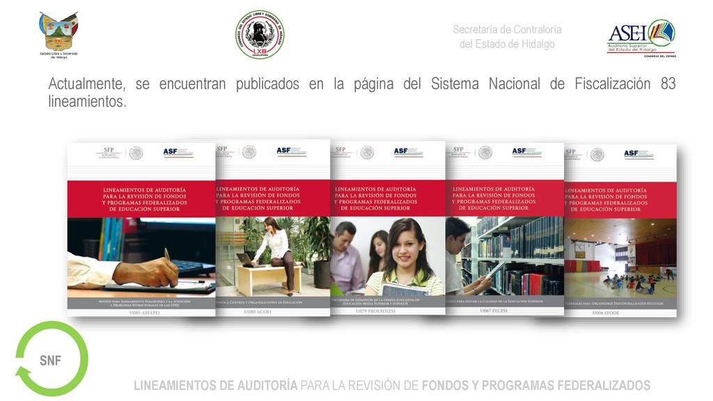 Actualmente, se encuentran publicados en la página del Sistema Nacional de Fiscalización 83 lineamientos.