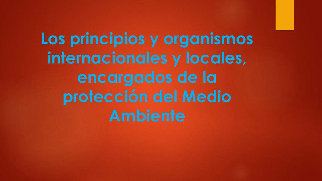 Los principios y organismos internacionales y locales, encargados de la protección del Medio Ambiente
