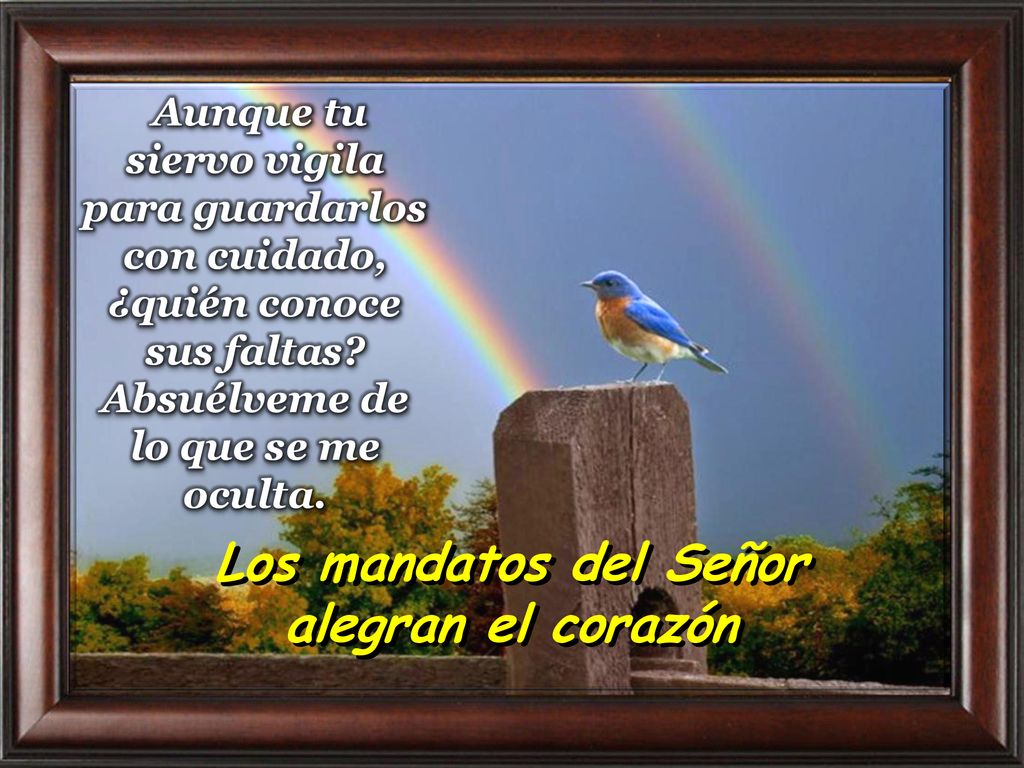 Los mandatos del Señor alegran el corazón