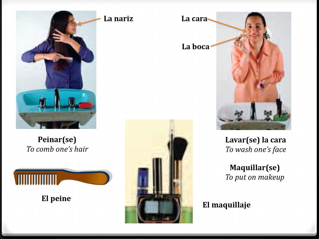 La nariz La cara. La boca. Peinar(se) To comb one’s hair. Lavar(se) la cara. To wash one’s face.