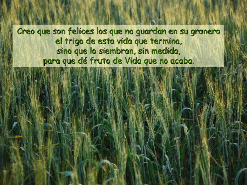 Creo que son felices los que no guardan en su granero