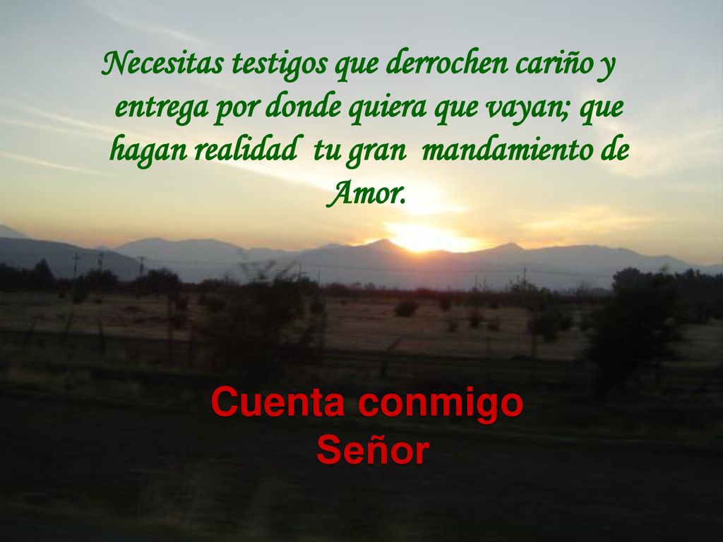 Necesitas testigos que derrochen cariño y entrega por donde quiera que vayan; que hagan realidad tu gran mandamiento de Amor.
