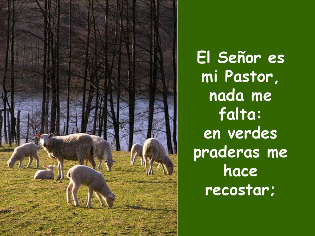 El Señor es mi Pastor, nada me falta: en verdes praderas me hace recostar;