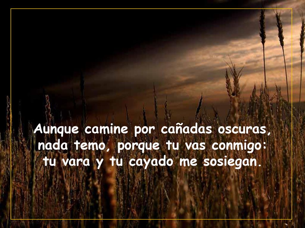 Aunque camine por cañadas oscuras, nada temo, porque tu vas conmigo: tu vara y tu cayado me sosiegan.