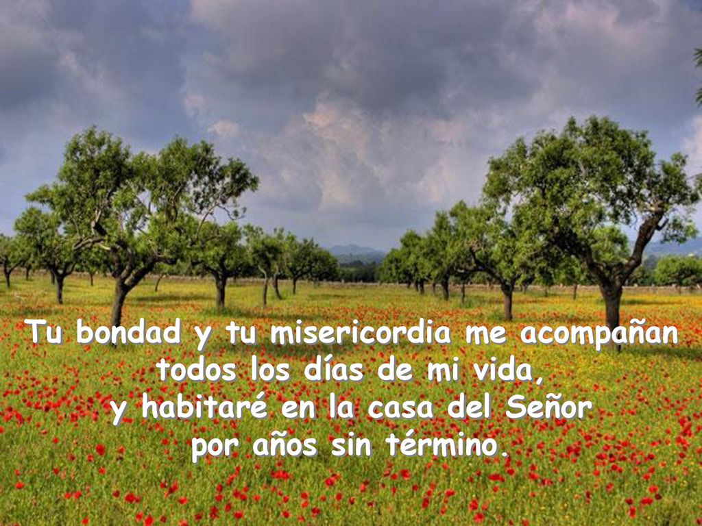 Tu bondad y tu misericordia me acompañan todos los días de mi vida, y habitaré en la casa del Señor por años sin término.