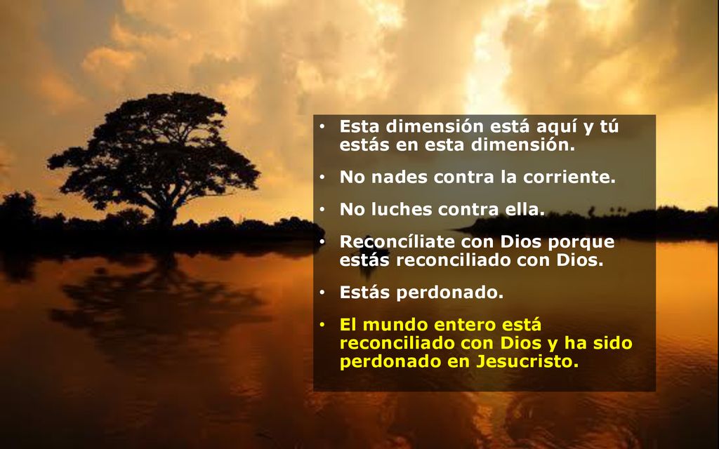 Esta dimensión está aquí y tú estás en esta dimensión.