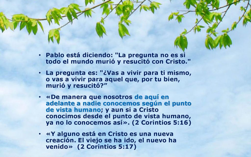 Pablo está diciendo: La pregunta no es si todo el mundo murió y resucitó con Cristo.