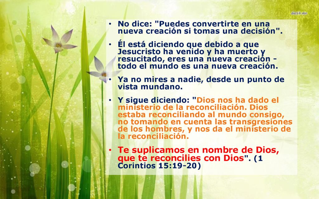 No dice: Puedes convertirte en una nueva creación si tomas una decisión .