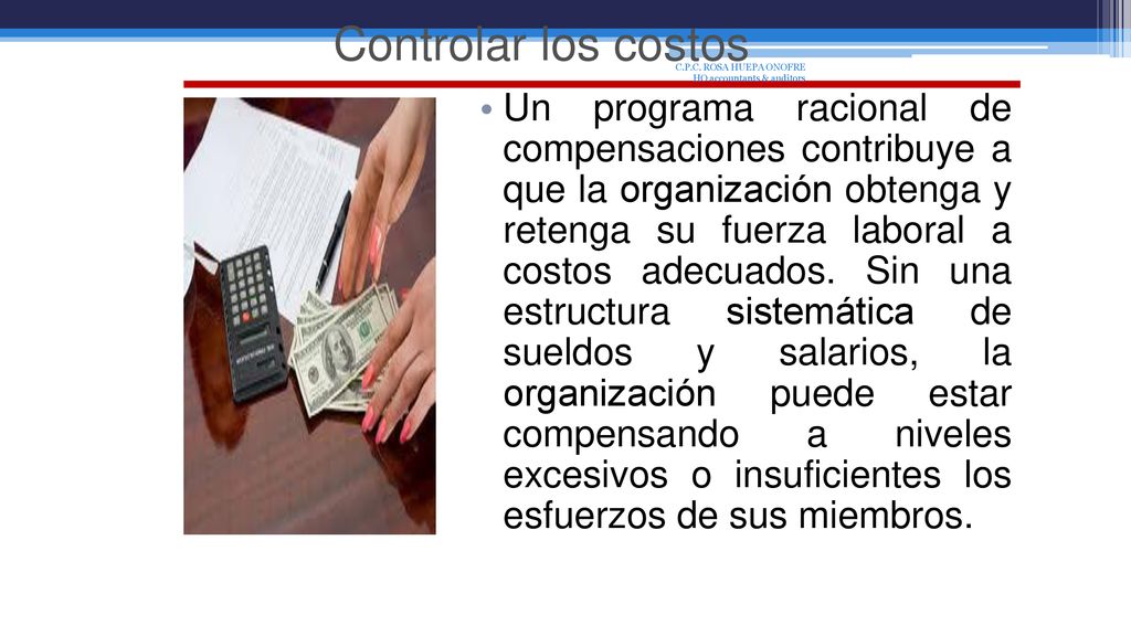 Controlar los costos C.P.C. ROSA HUEPA ONOFRE HO accountants & auditors.