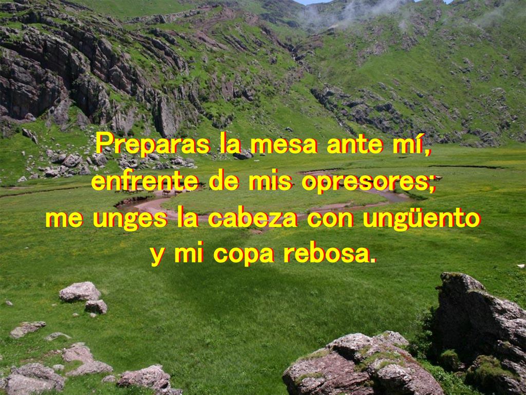 Preparas la mesa ante mí, enfrente de mis opresores;