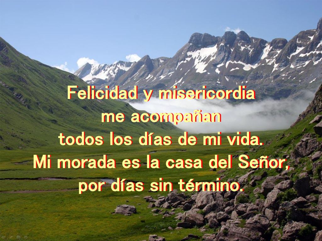 Felicidad y misericordia me acompañan todos los días de mi vida.