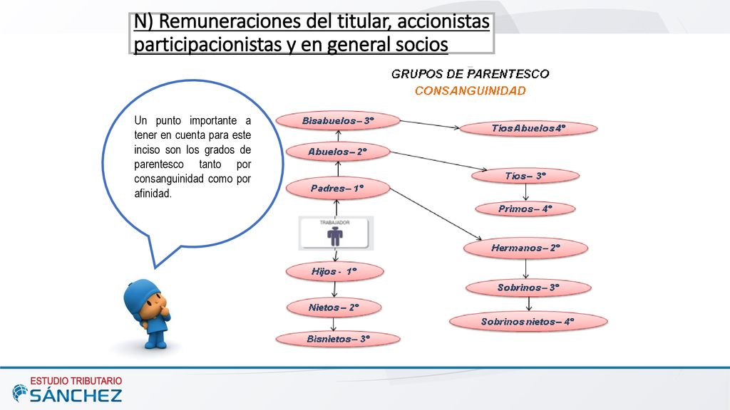 N) Remuneraciones del titular, accionistas participacionistas y en general socios