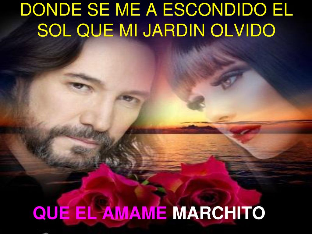 DONDE SE ME A ESCONDIDO EL SOL QUE MI JARDIN OLVIDO