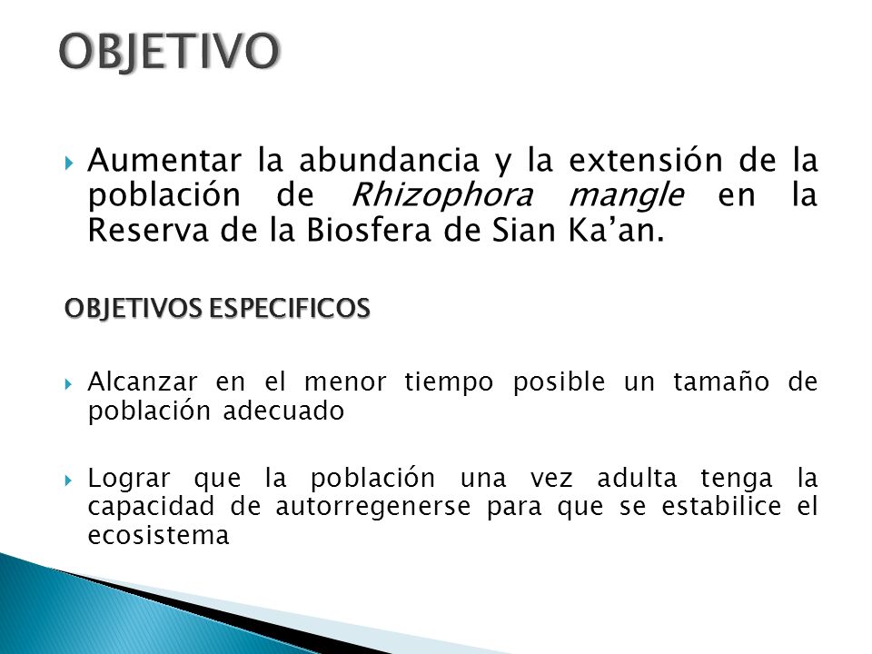 OBJETIVO Aumentar la abundancia y la extensión de la población de Rhizophora mangle en la Reserva de la Biosfera de Sian Ka’an.