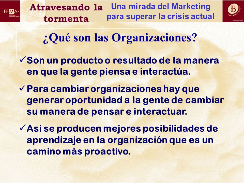 ¿Qué son las Organizaciones