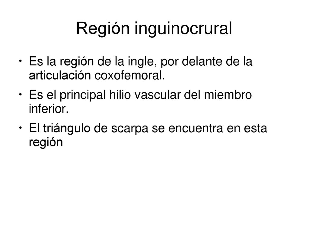 Región inguinocrural Es la región de la ingle, por delante de la articulación coxofemoral. Es el principal hilio vascular del miembro inferior.