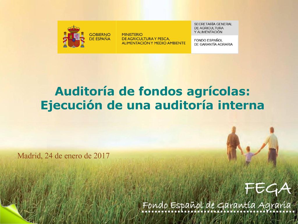 Auditoría de fondos agrícolas: Ejecución de una auditoría interna