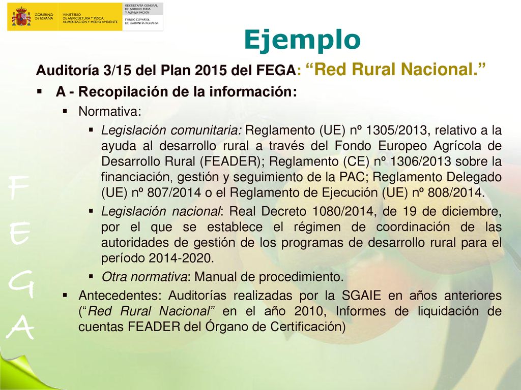 Ejemplo Auditoría 3/15 del Plan 2015 del FEGA: Red Rural Nacional.