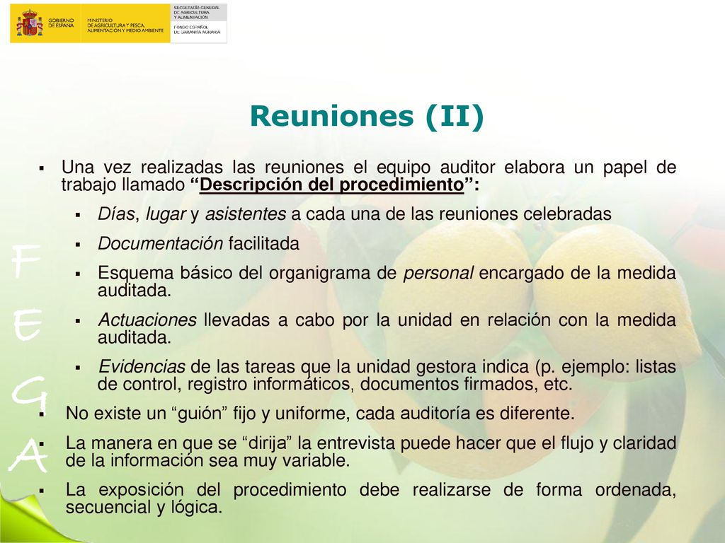 Reuniones (II) Una vez realizadas las reuniones el equipo auditor elabora un papel de trabajo llamado Descripción del procedimiento :