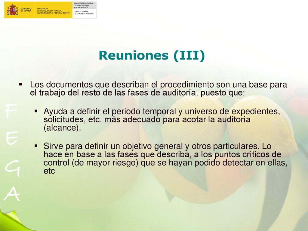 Reuniones (III) Los documentos que describan el procedimiento son una base para el trabajo del resto de las fases de auditoría, puesto que: