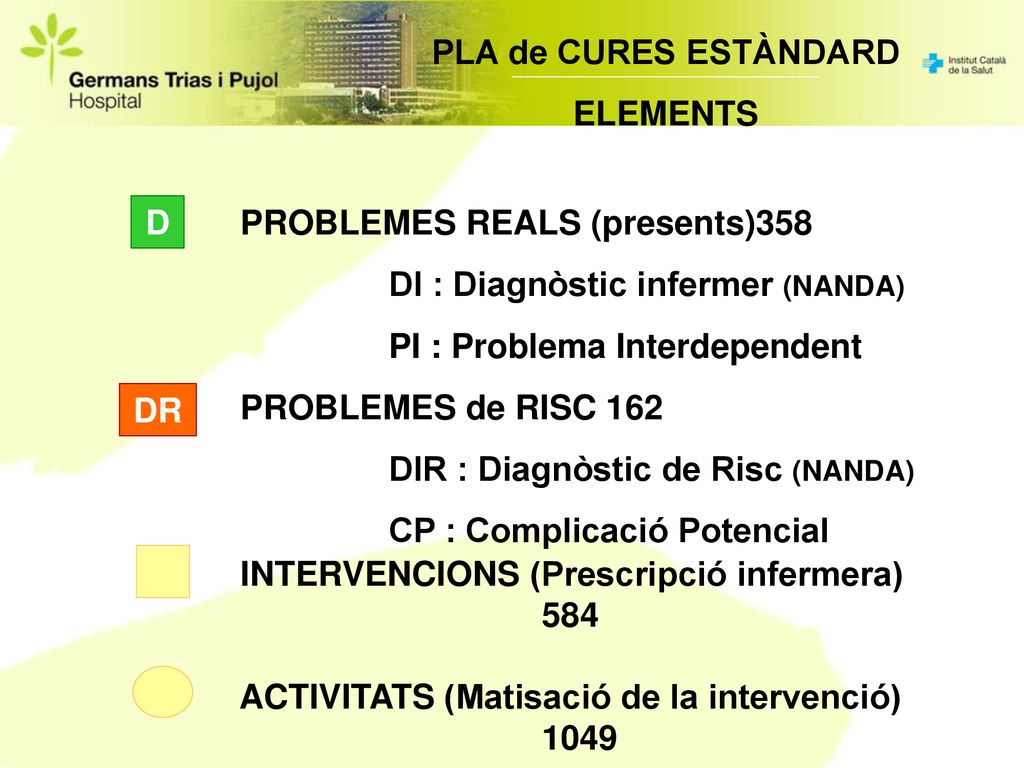 PLA de CURES ESTÀNDARD ELEMENTS. D. PROBLEMES REALS (presents)358. DI : Diagnòstic infermer (NANDA)