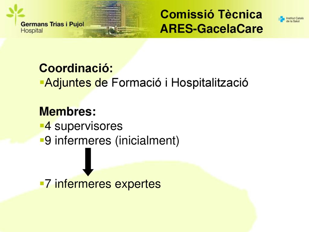 Comissió Tècnica ARES-GacelaCare. Coordinació: Adjuntes de Formació i Hospitalització. Membres: 4 supervisores.