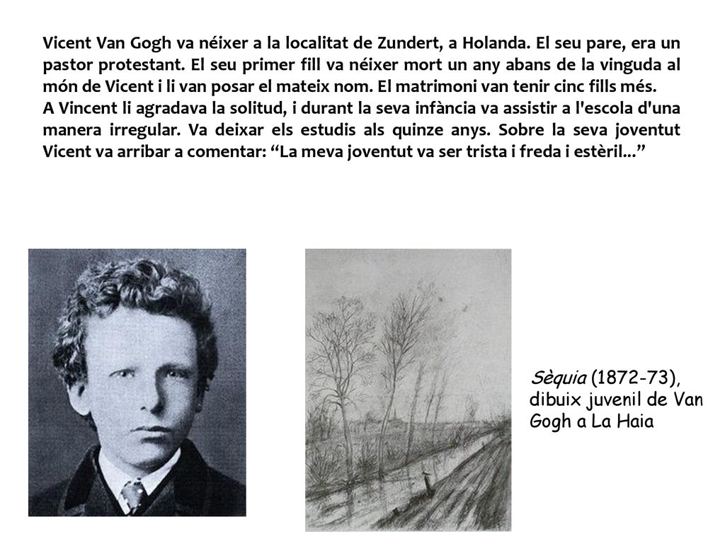 Vicent Van Gogh va néixer a la localitat de Zundert, a Holanda