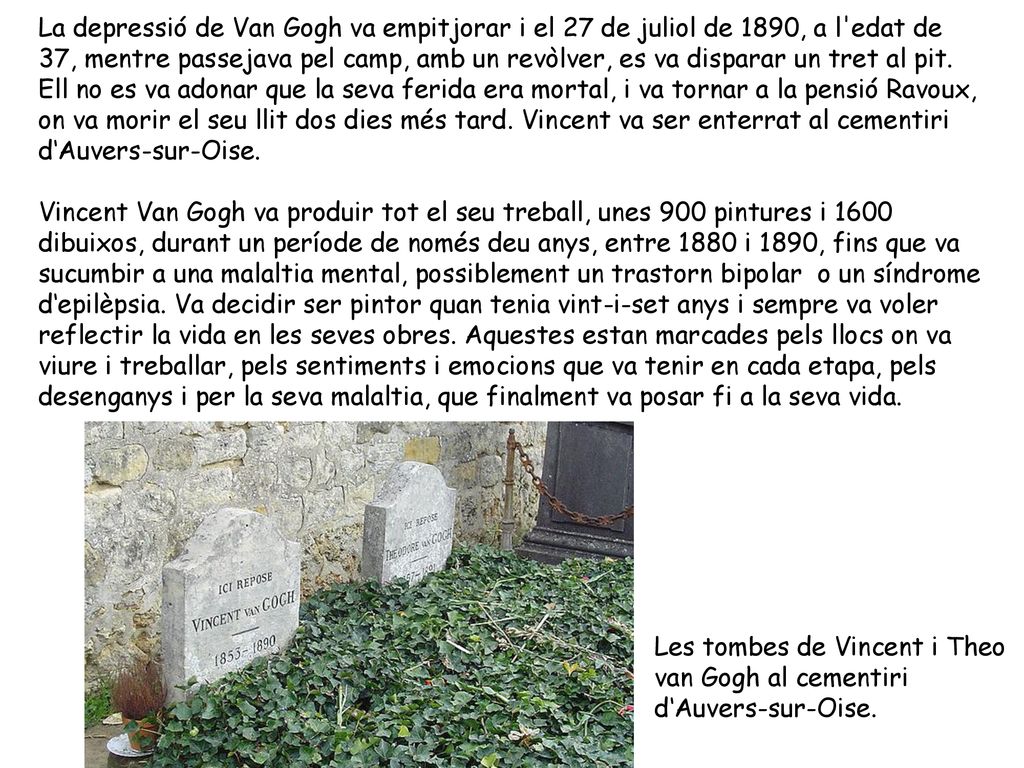 La depressió de Van Gogh va empitjorar i el 27 de juliol de 1890, a l edat de 37, mentre passejava pel camp, amb un revòlver, es va disparar un tret al pit. Ell no es va adonar que la seva ferida era mortal, i va tornar a la pensió Ravoux, on va morir el seu llit dos dies més tard. Vincent va ser enterrat al cementiri d‘Auvers-sur-Oise.