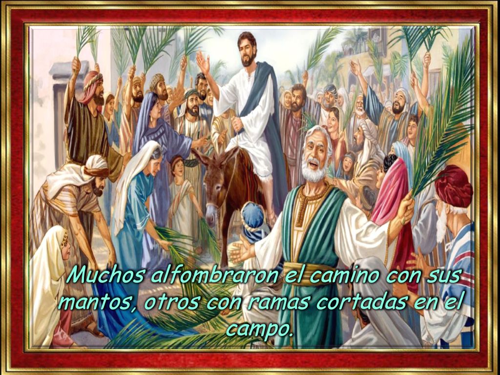 Muchos alfombraron el camino con sus mantos, otros con ramas cortadas en el campo.
