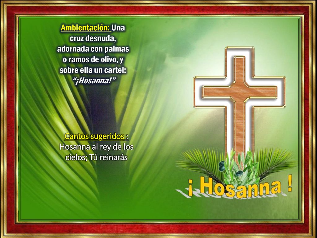 Cantos sugeridos : Hosanna al rey de los cielos; Tú reinarás