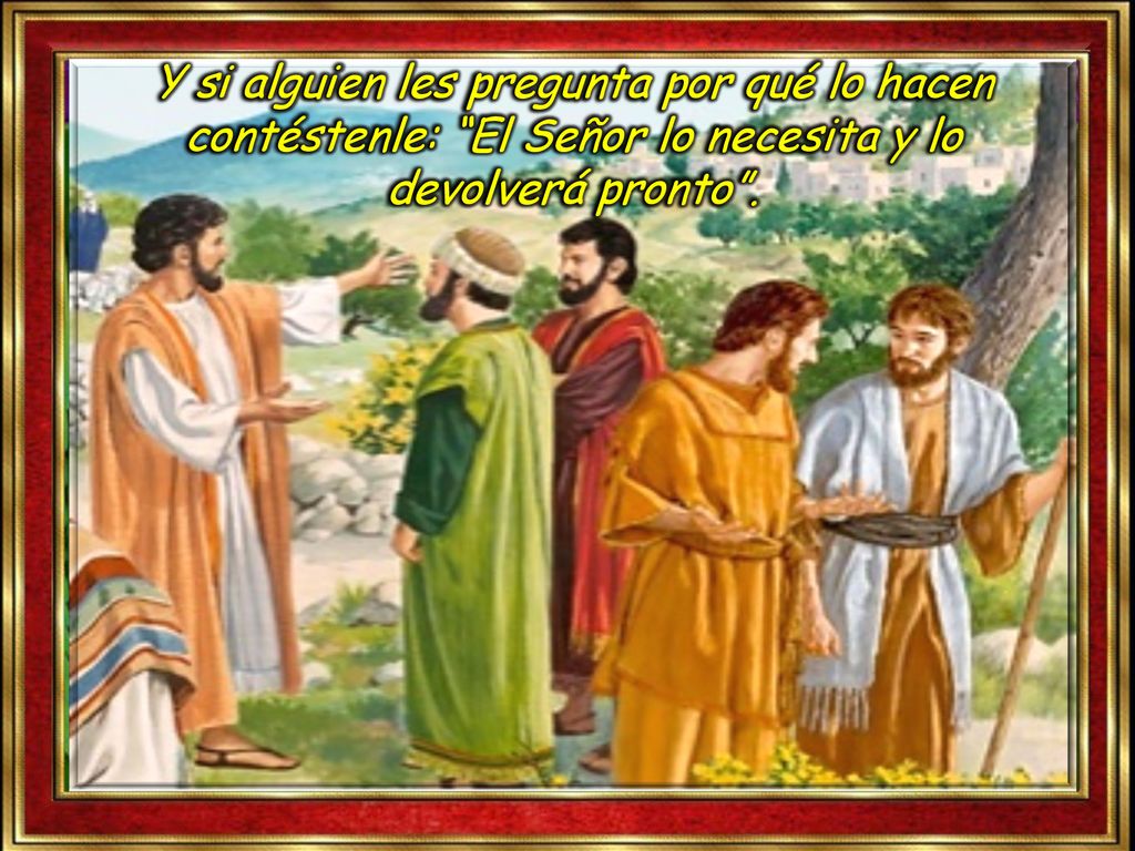 Y si alguien les pregunta por qué lo hacen contéstenle: El Señor lo necesita y lo devolverá pronto .