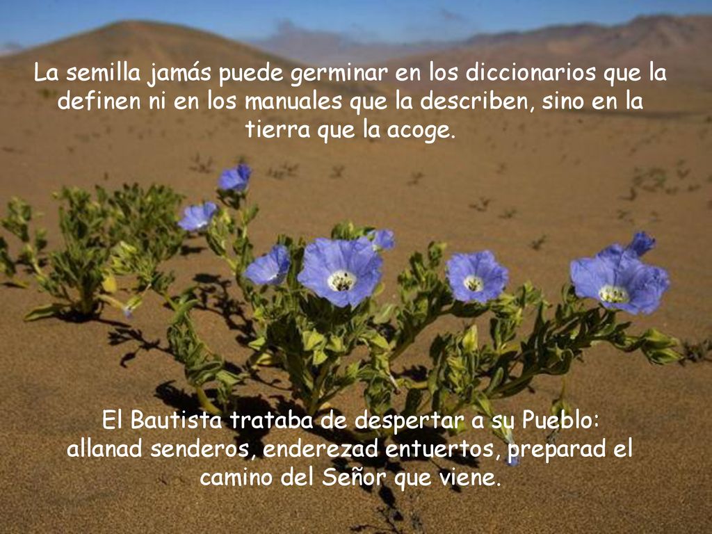 La semilla jamás puede germinar en los diccionarios que la definen ni en los manuales que la describen, sino en la tierra que la acoge.