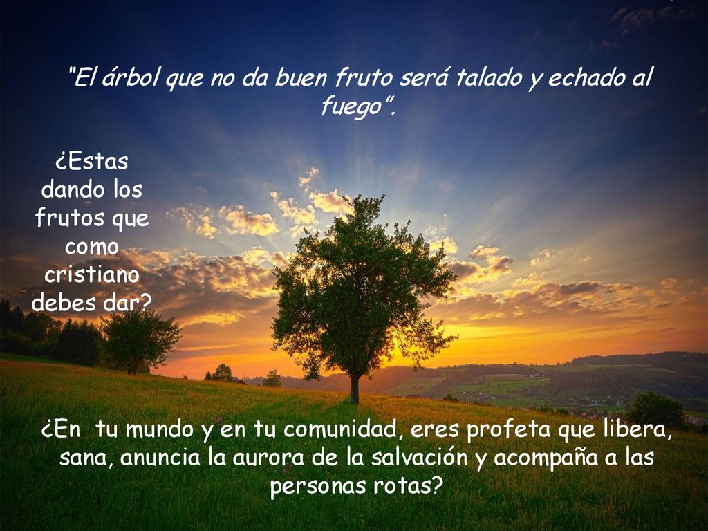 El árbol que no da buen fruto será talado y echado al fuego .