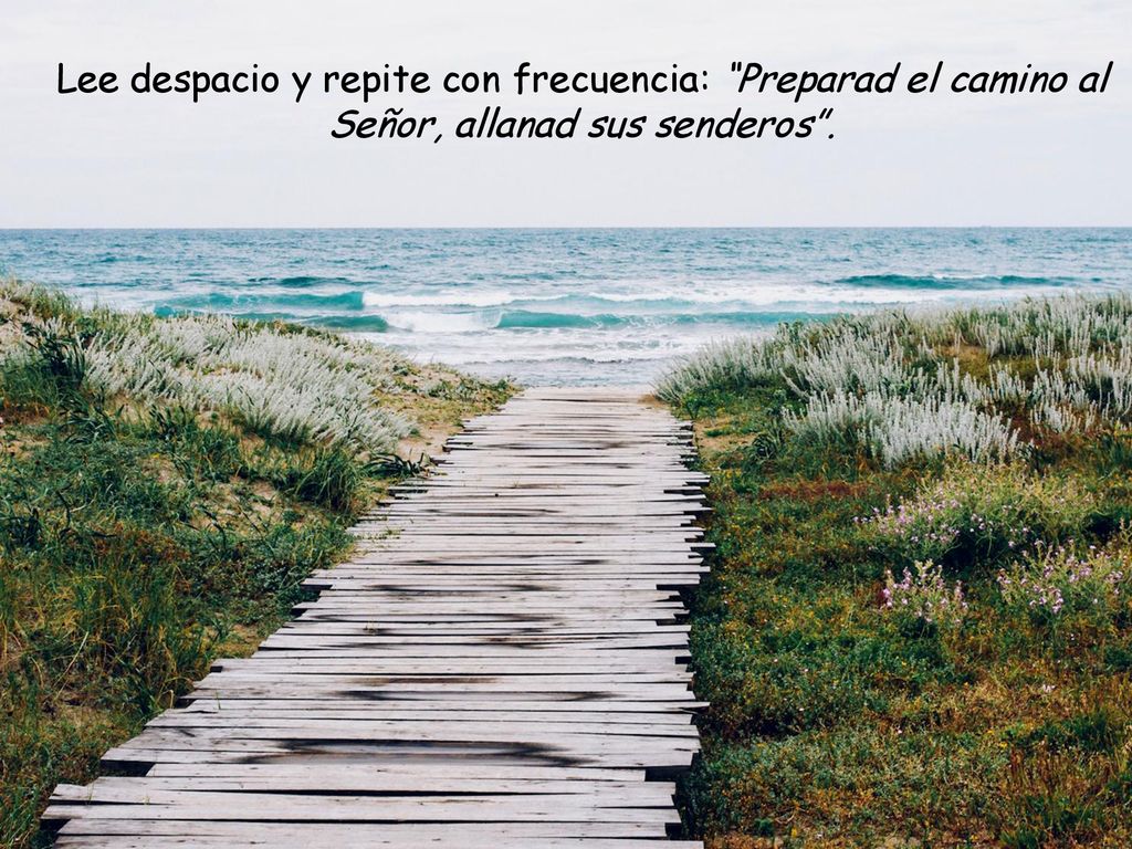 Lee despacio y repite con frecuencia: Preparad el camino al Señor, allanad sus senderos .